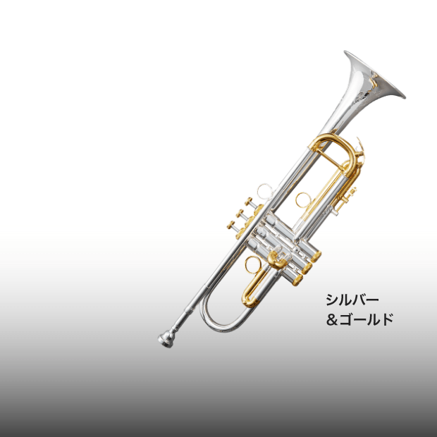 豊かで伸びやかな音色、個性あふれる３タイプのバイカラー