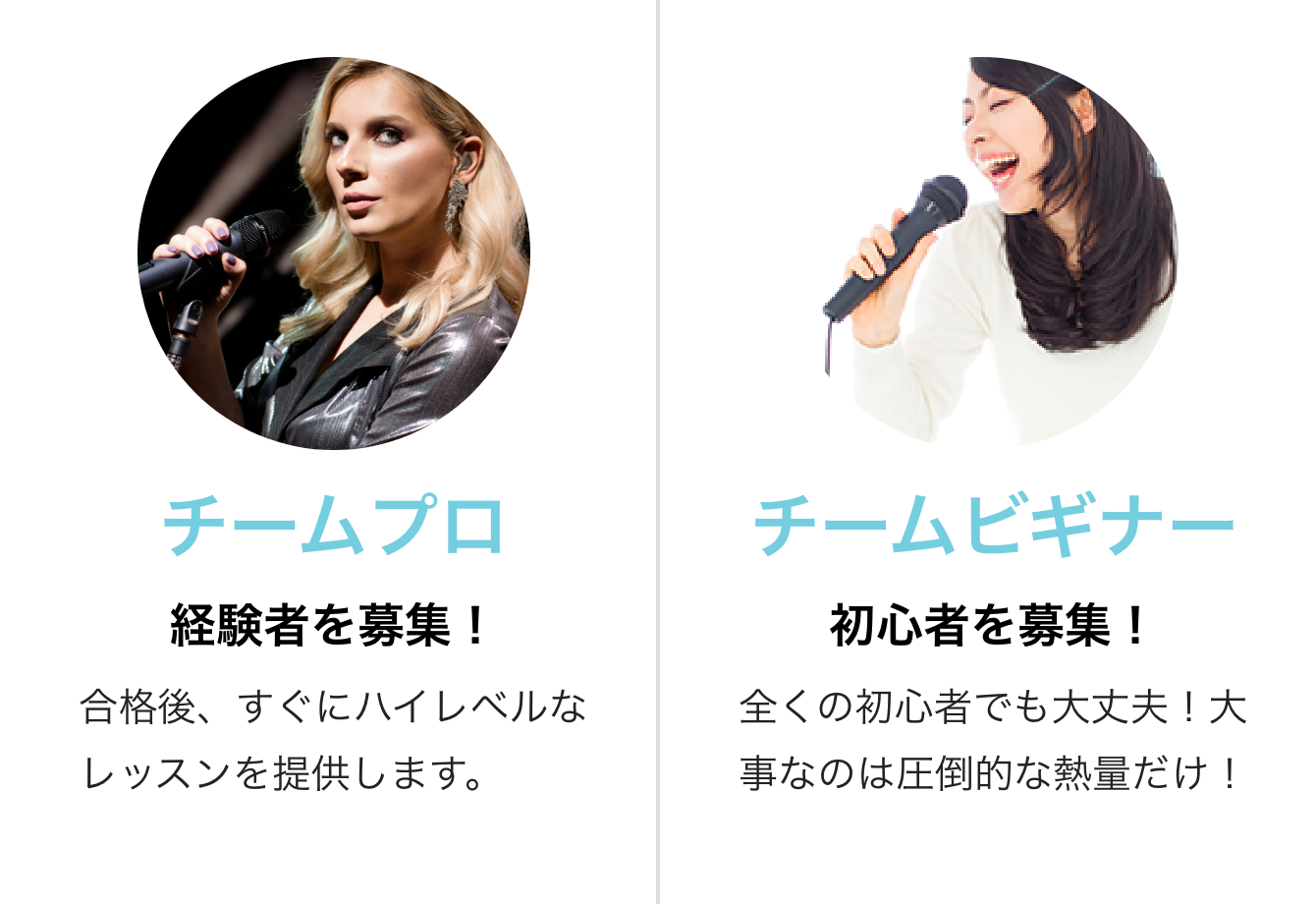 チームプロ：経験者を募集！合格後すぐにハイレベルなレッスンを提供します。チームビギナー：初心者を募集！全くの初心者でも大丈夫！大事なのは圧倒的な熱量だけ！